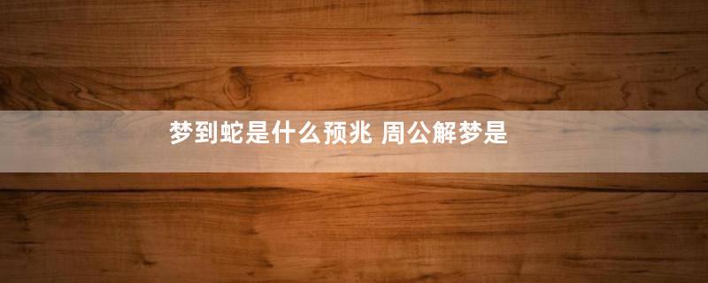 梦到蛇是什么预兆 周公解梦是什么意思